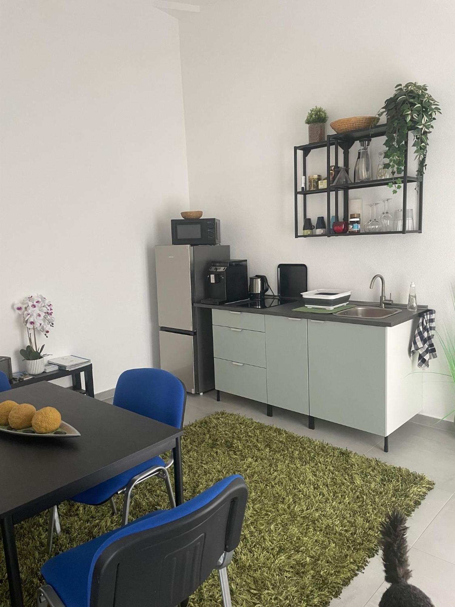 Feine Auszeit Apartment Gottmadingen Exterior photo